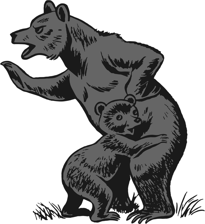 Bärenstark Mama Bear Apologetics Apologetik Hillary Morgan Ferrer CV Dillenburg Glaube Kinder Jugendliche Gesellschaft Lügen Mütter Mutter Frauen Familie